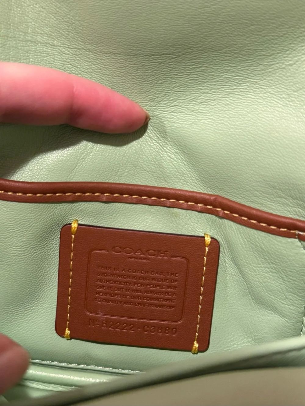 RARE Coach Pillow Tabby in Pistachio ORIGINAL DUST BAG & STRAPS